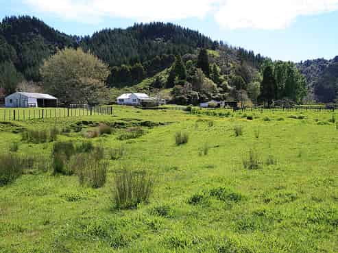 27 Tupoki Road, Uruti