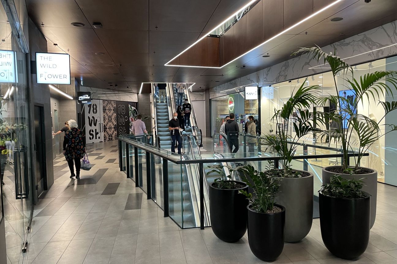 Willis Office Opportunity - 457m² – pohled 6