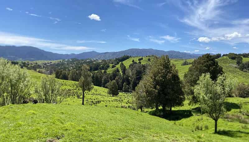 Lot 1/87 Buchanan Rd, Broadwood