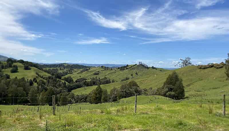 Lot 4/280 Paponga Rd, Broadwood