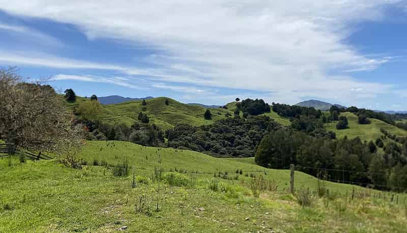 Lot 4/280 Paponga Rd, Broadwood