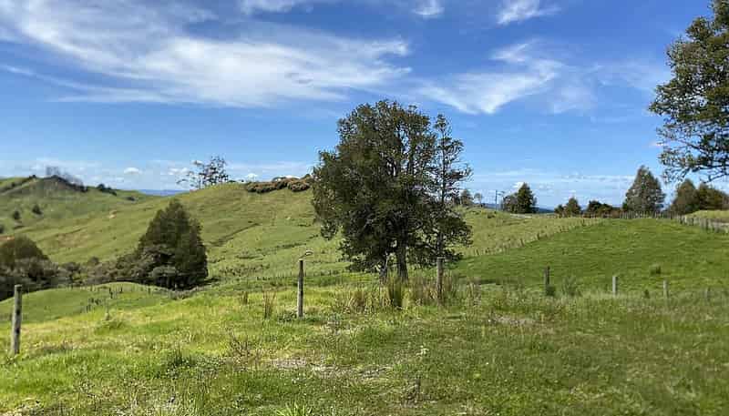 Lot 4/280 Paponga Rd, Broadwood