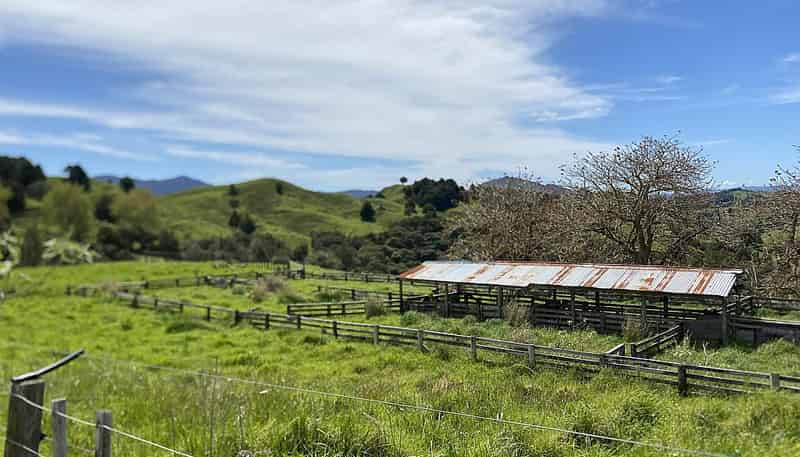 Lot 4/280 Paponga Rd, Broadwood