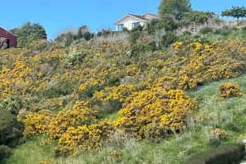 Lot 3 Oakleigh Crescent, OAMARU