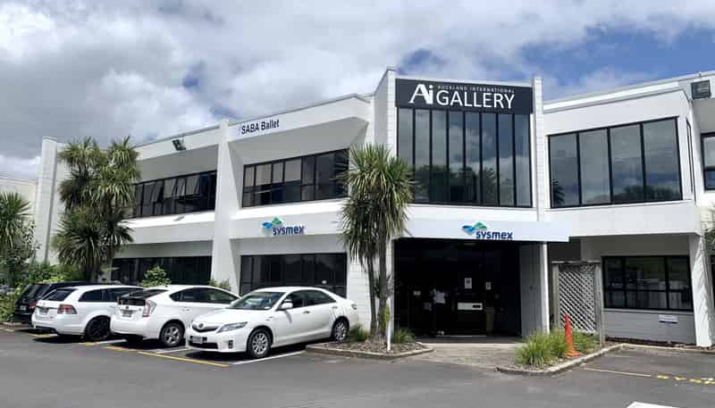 386 Manukau Road, Epsom