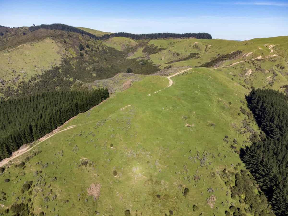 Wairarapa Bare land Parcels and Rural Farms for Sale realestate.co.nz