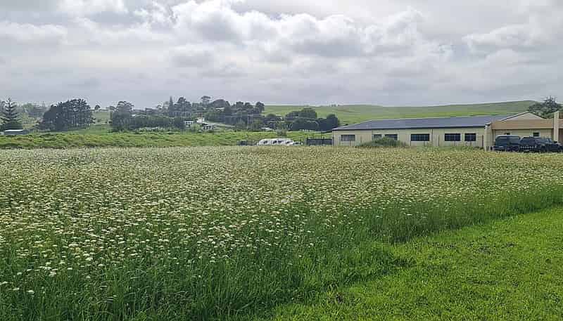 47 North Park Drive, Kaitaia