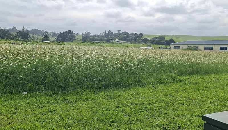 47 North Park Drive, Kaitaia