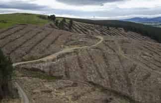 310 Gerrard Road, Dipton