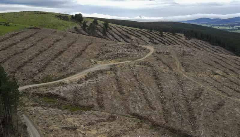 310 Gerrard Road, Dipton