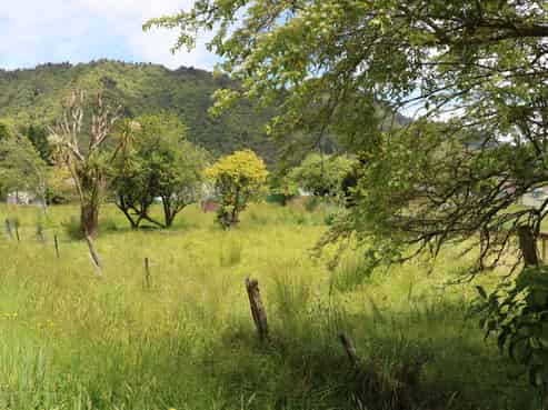 14 Litchfield Street, Kaiata