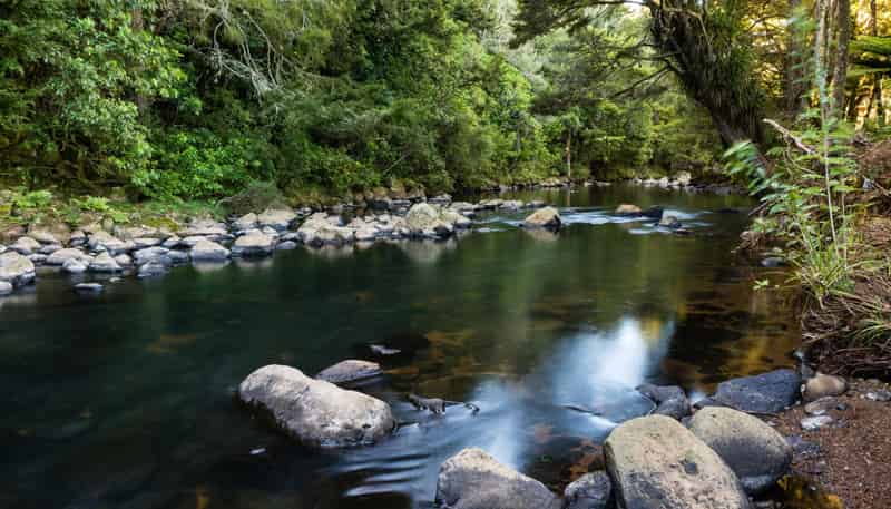 1608E State Highway 10, Kerikeri