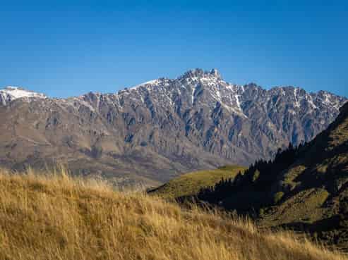 Lot 6 The Paddocks, Littles Road, Dalefield