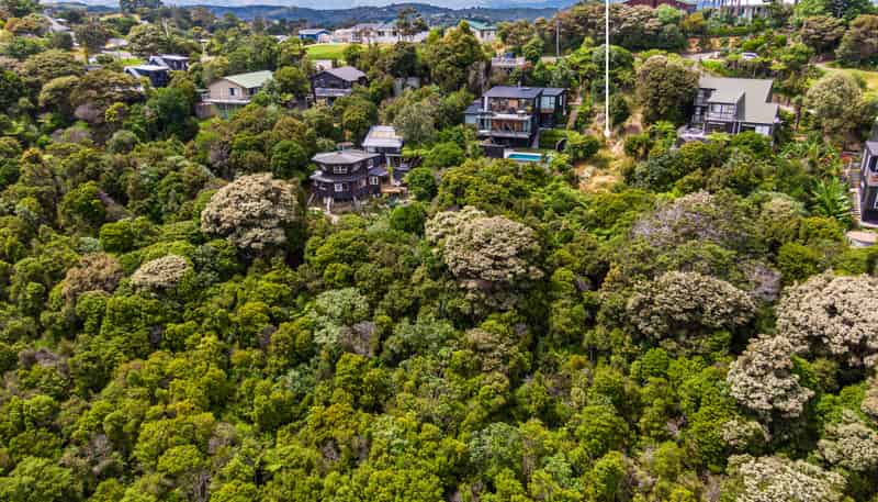 7 Pacific Parade, Oneroa