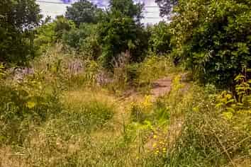 7 Pacific Parade, Oneroa