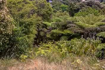 7 Pacific Parade, Oneroa