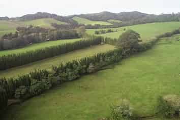 59F Riddell Road, Kerikeri