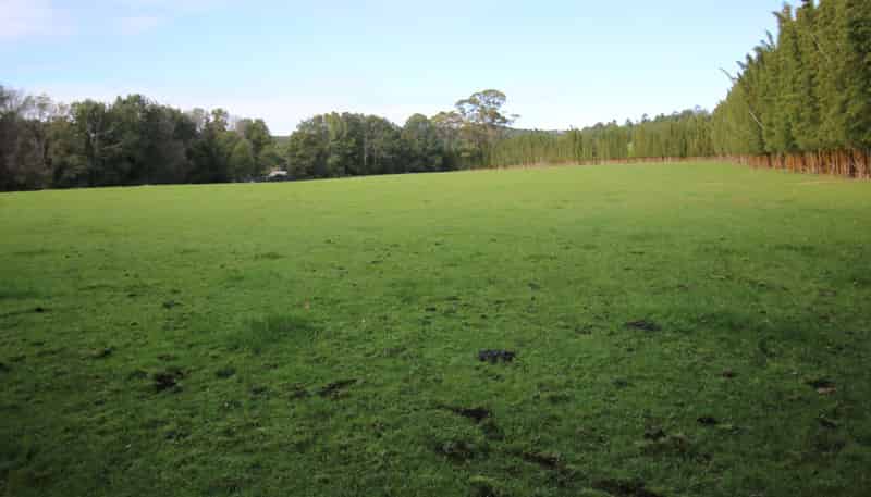 59F Riddell Road, Kerikeri