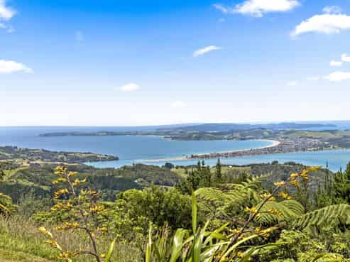 289 Rodney Road, Whangateau