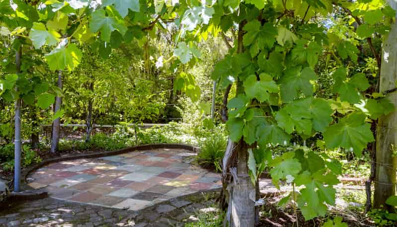 16 Taringa Avenue, Kuratau