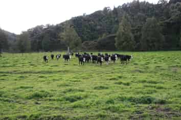 0n Mangaonga Road, Ahititi