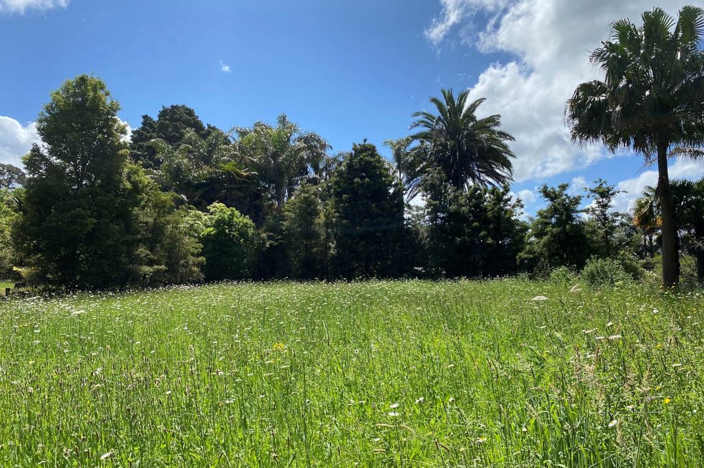 Sold 322 Horeke Road, Okaihau realestate.co.nz