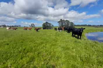 Lot 1 Mangatete Heights, Kaingaroa