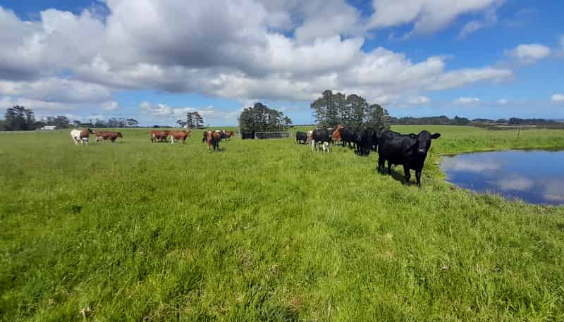 Lot 1 Mangatete Heights, Kaingaroa