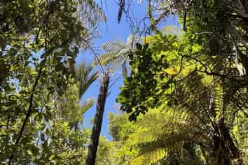 29 Cascade Avenue, Waiatarua