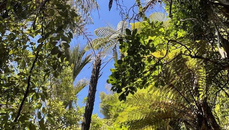 29 Cascade Avenue, Waiatarua
