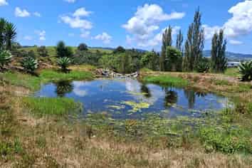 Lot 2/39 Gorge Road, Maungaturoto