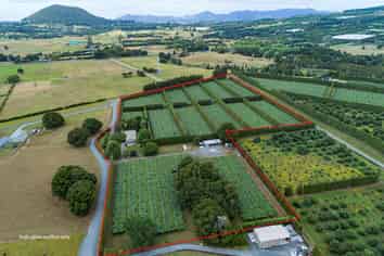 38 Mannington Road, Maungatapere