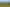 Lots 1 and Manganui Road, Midhirst