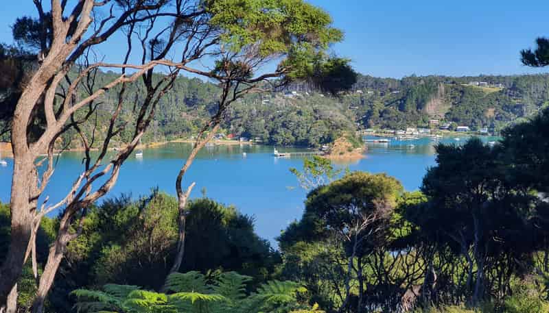 Lot 105 Hideaway Cove, Kawau Island