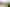 34 Oram Drive, Turitea