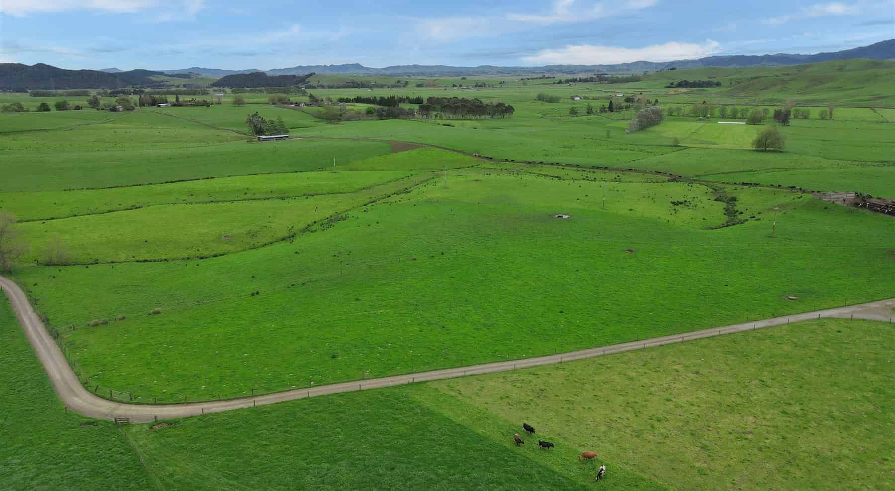 180 Manuel Road, Morrinsville, MatamataPiako For Sale realestate.co.nz