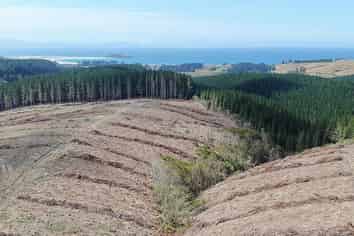Lot 3 Taieri Beach Road, Taieri Beach, Taieri Beach