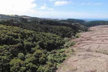 Lot 3 Taieri Beach Road, Taieri Beach, Taieri Beach