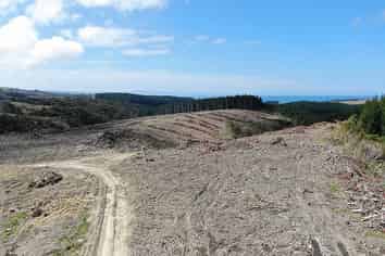 Lot 3 Taieri Beach Road, Taieri Beach, Taieri Beach