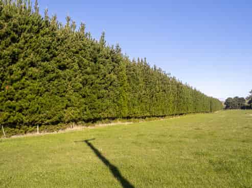 1003 State Highway 2, Masterton