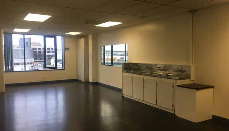  L4, 393 Khyber Pass Road, Newmarket