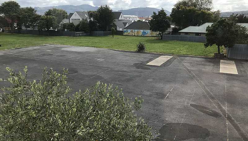 110 Melbourne Street, South Dunedin