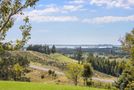 316 Work Road, Aongatete, Western Bay Of Plenty, Bay of Plenty