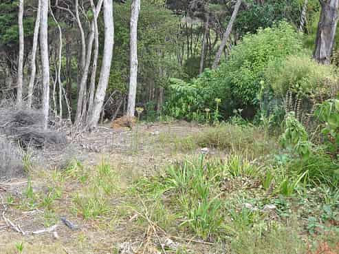 6 Lavinia Place, Kawau Island