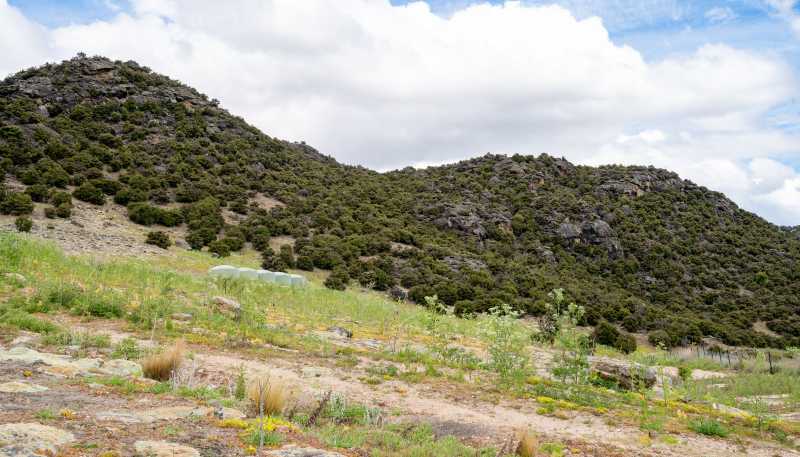 191 Lakefront Terrace, Bendigo Hills, Cromwell