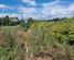 48 Clifford Street, Blackball, Grey, West Coast