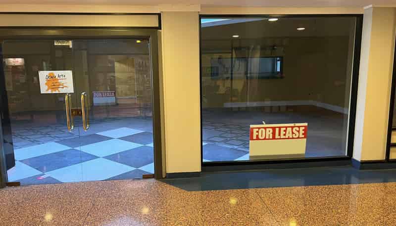 81 Broadway Avenue, Palmerston North Central