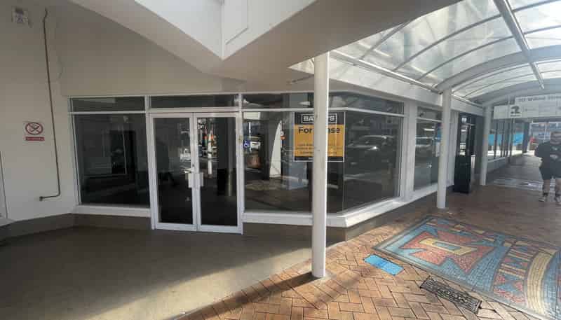 Tenancy 1 117 Willow Street, Tauranga