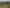 16 Leinster Ave and 153 Poplar Ave, Raumati South