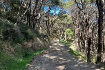 4080 Pahiatua Pongaroa Road, Pongaroa